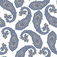 pattern of paisley N7