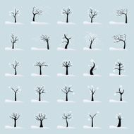 Winter Trees N6