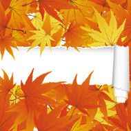 Autumn maple seamless pattern with ripped stripe N2