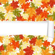 Autumn maple seamless pattern with ripped stripe N3