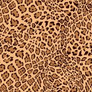 Animal Leopard Seamless Background