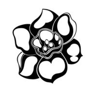 flowers in simple background