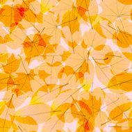 Transparent Autumn Leaves plus EPS10 N9