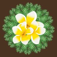 Plumeria seamless vector pattern palm leaves background