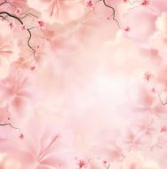 Pink floral background N2