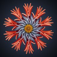 abstract 3d flower isolated object N2