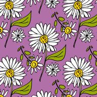 Pretty daisy flowers background