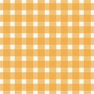 Checked seamless pattern N20