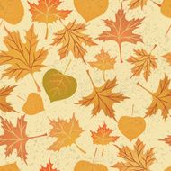 Autumn leaves seamless pattern Vector illustration