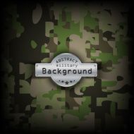 Camouflage military pattern background Vector illustration EPS10 N12