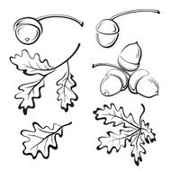 Oak Leaves and Acorns Pictograms