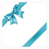 Turquoise Gift Bow