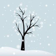 Winter Tree N12