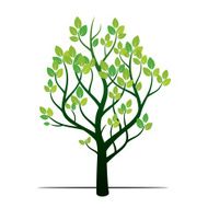 Spring Tree Vector Illustration