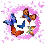 Butterflies flying