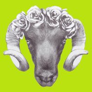 Ram&#039;s head with roses