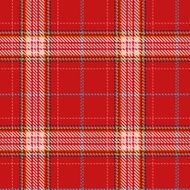 Seamless tartan pattern N13