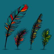 Set of multicolored feathers With blue background