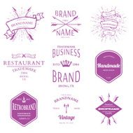 Retro Vintage Insignias or Logotypes set vector design elements N2