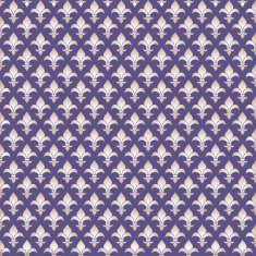 seamless texture N21