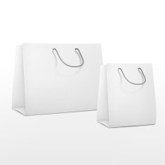 blank shopping paper bags