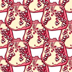 Pomegranade vector pattern N2