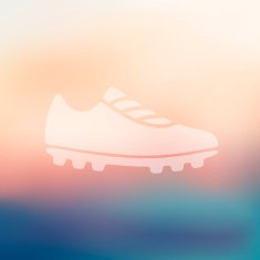 sneakers icon on blurred background N3
