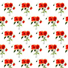 Postcard painted red poppy N12