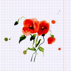 Postcard painted red poppy N14