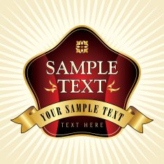 Template frame design for card with place your text N4