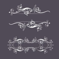 Vintage floral elements N2