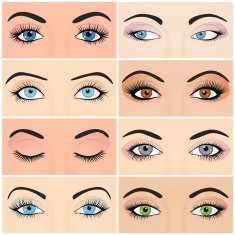 Set of female eyes and brows image with beautifully fashion