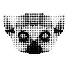 abstract monochrome lemur portrait of circles isolated on white background