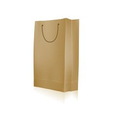 Empty Shopping Bag for advertising and branding N3