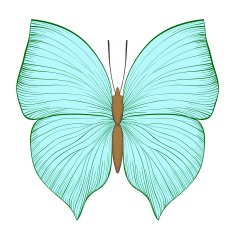 beautiful vintage green butterfly isolated on white background