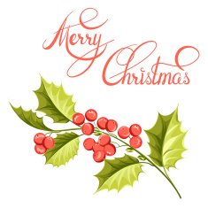 Christmas mistletoe branch drawing N2