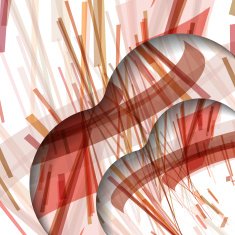 Abstract pattern of lines N51