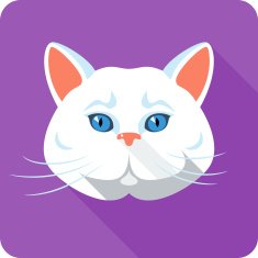 Vector white british Cat icon flat design N2