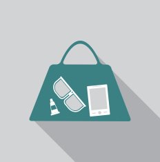 Women's bag icon