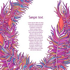 Vector Feather background N3