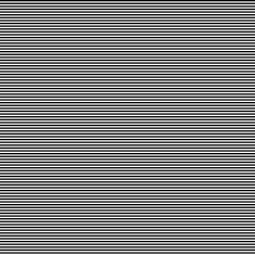 Black and White Abstract Psychedelic Art Background Vector Illu N21