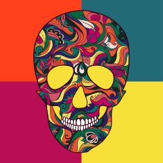 Vector Sugar Skull with ornament N5