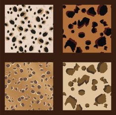 Leopard Spots Pattern-Wild - Illustration