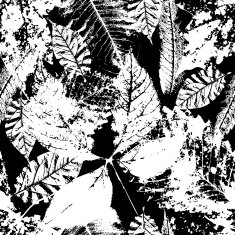 Seamless background with leaves Black and white endless pattern N5