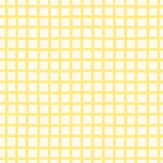 Seamless pattern with checkered geometric texture N14