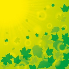 Autumn abstract background with leaf N8