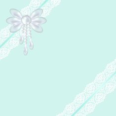 lace fabric background N12