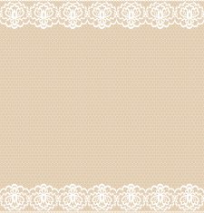 Lace Border N11
