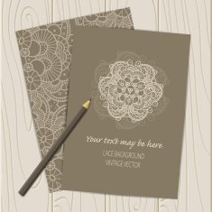 Vector lace ornament background N13