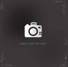 Camera sign vector N4